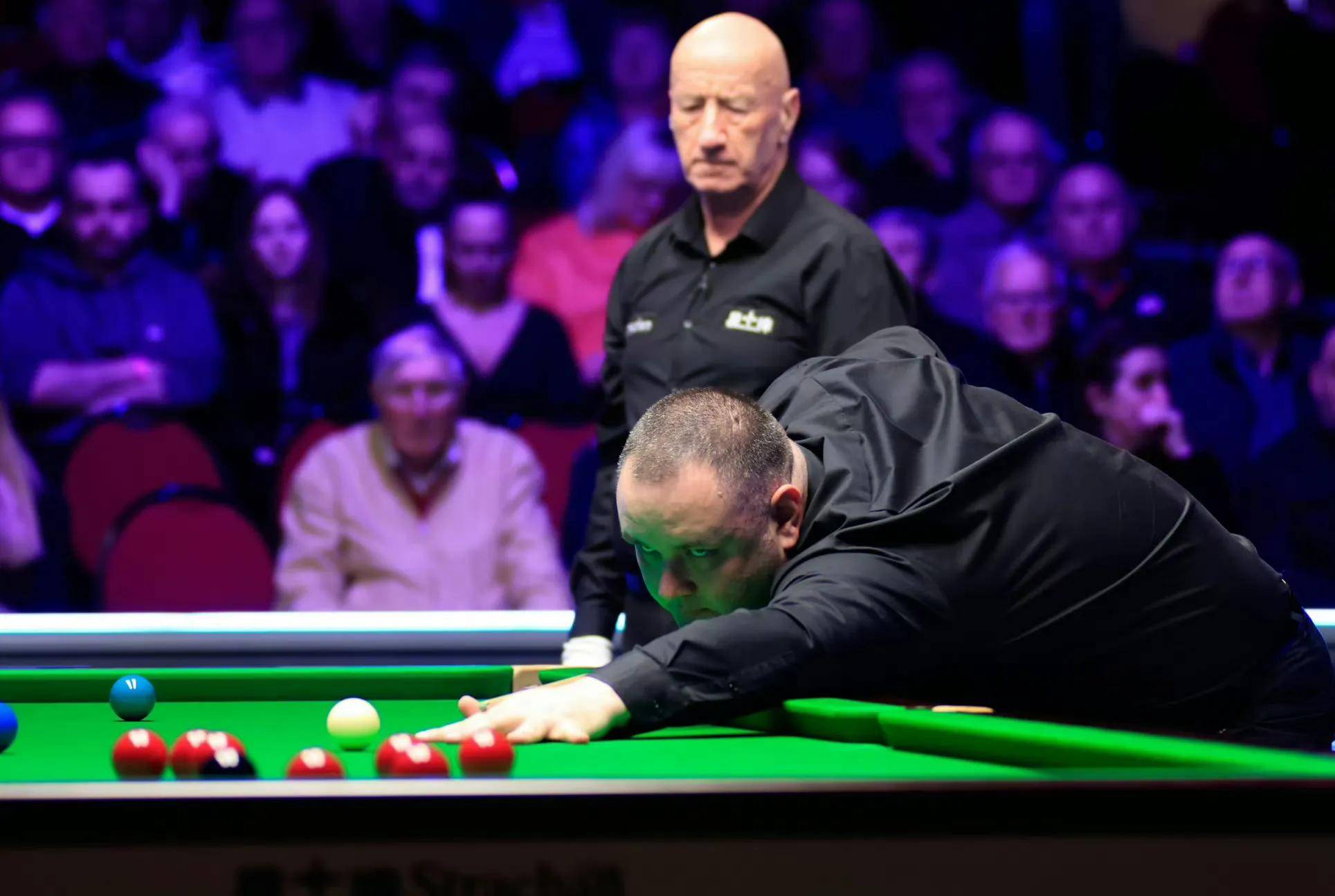 她表现出的 她表现出的