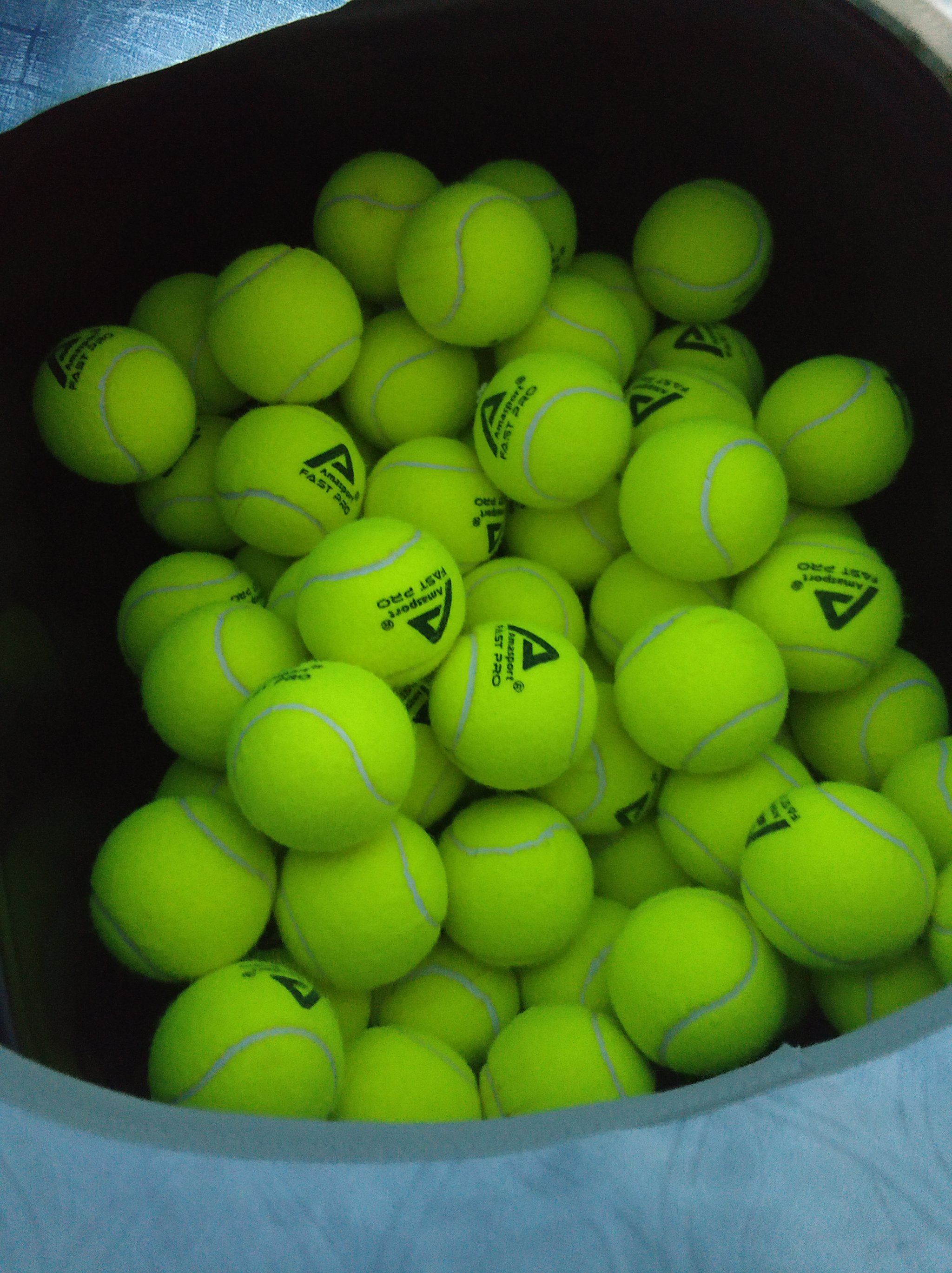 三拍节律 三拍节律